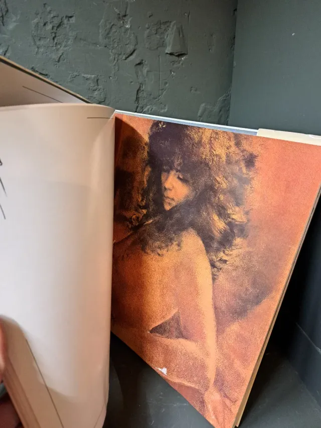 Libro arte Fuentetaja