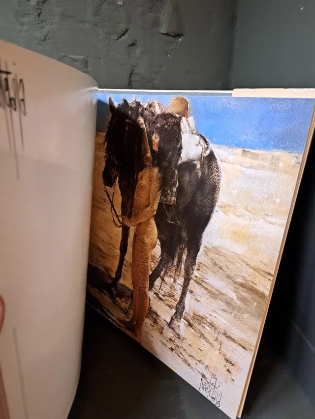 Libro arte Fuentetaja