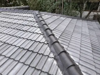 Reparación y construcción de tejados