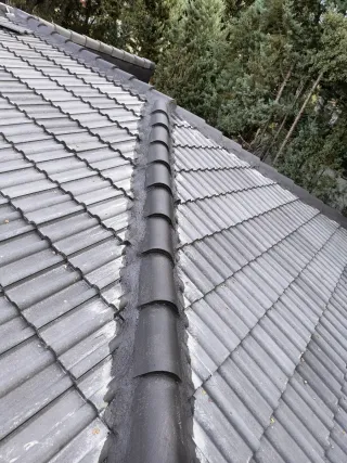 Reparación y construcción de tejados