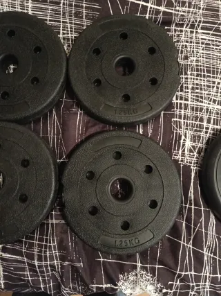 Discos de pesa 1,25 kg (4 unidades)