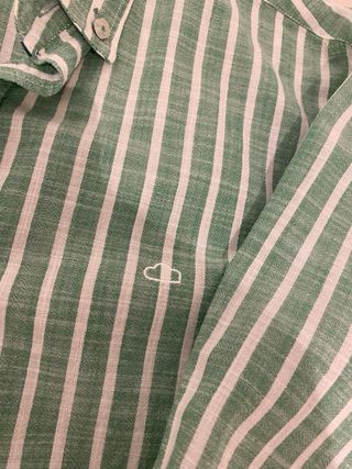 Camisa Don Algodón Rayas Verde y Blanca