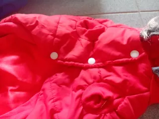 Cappottini rosso e blu per cane