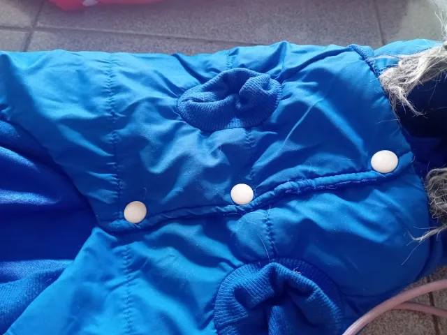 Cappottini rosso e blu per cane