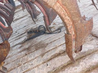 Sembradora 2,30 metros y 15 botas.