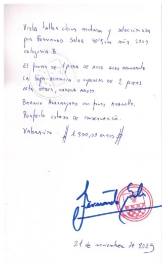 Viola de 40'5cm con estuche