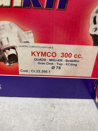 CILINDRO COMPLETO KYMCO 300CC ITALKIT CI.33.300.1