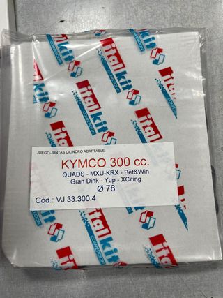 CILINDRO COMPLETO KYMCO 300CC ITALKIT CI.33.300.1