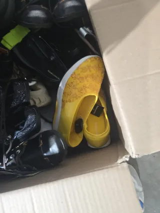 Lote de Zapatos Variados