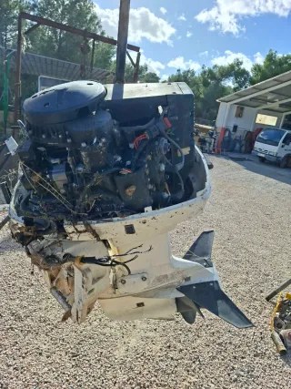 Motor fueraborda Johnson 115cv