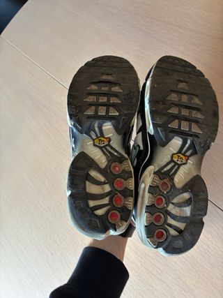 Nike TN Air Max Plus azules y blancas