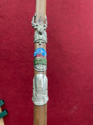 Bastón alpino antiguo de senderismo