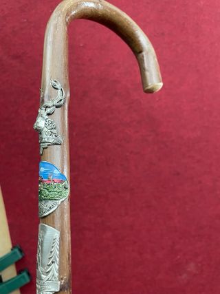 Bastón alpino antiguo de senderismo