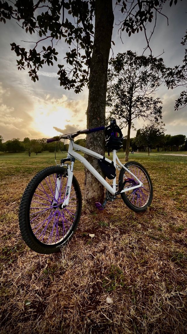 mtb bici rockrider 340