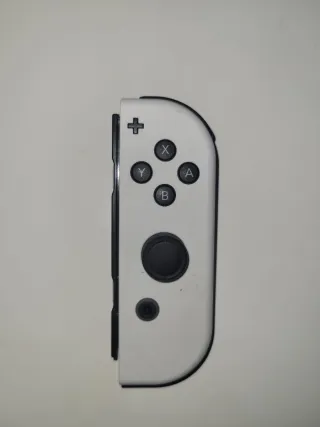 Nintendo Switch OLED + Custodia + Minecraft