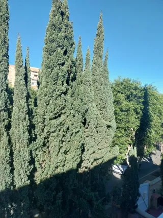 Alquiler Apartamento Ciudad Jardín San Miguel