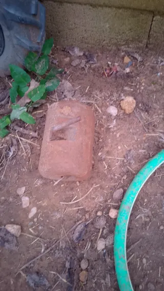 Mula Mecánica con Carro