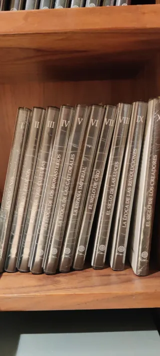 Historia del arte español, con Dvd's