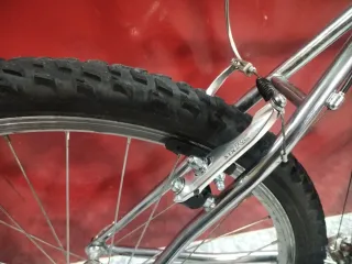 Bicicleta MTB Zeus Storm Talla L Ruedas 26