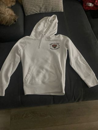 Sudadera de Hollister con estampado de tigre