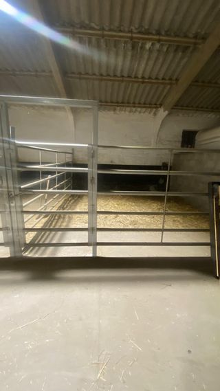 Pupilaje caballos, cuadras amplias y picadero