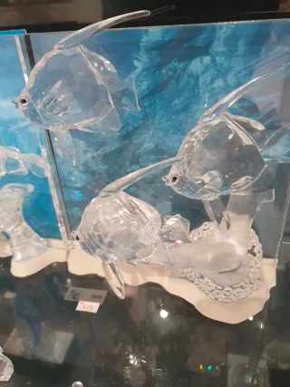 Swarovski Wonders of the Sea SCS20