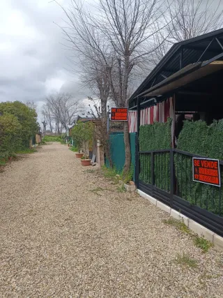 Parcela camping Daganzo