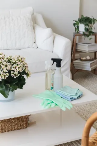 Cansada de que tú casa esté siempre desordenado!