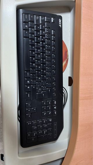 Monitor Acer LCD 19 Negro