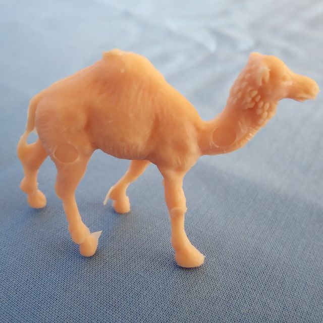 4 Dunkin Ma Dalton, Cassivellaunos, Rino-te, Cammello