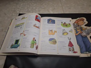 Diccionario/ Libro de los por qué