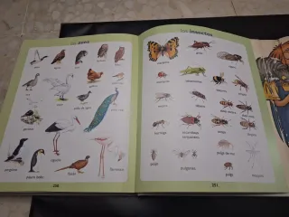 Diccionario/ Libro de los por qué