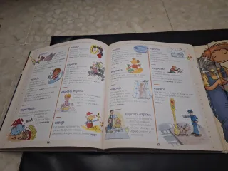 Diccionario/ Libro de los por qué