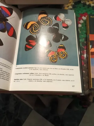 Enciclopedia mariposas,y natonal geographic