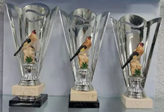 Trofeos Silvestrismo con pájaros