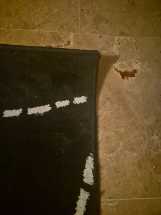 Se vende alfombra de salón