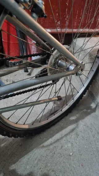 Bicicleta Verde Radical Sport Shimano