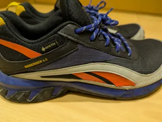 Zapatillas Reebok Gore-Tex