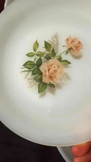 Arcopal Platos Vintage Rosas (Set de 5)