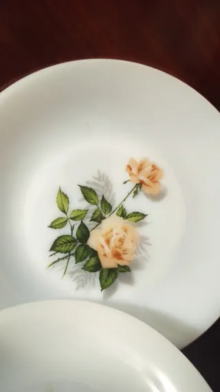 Arcopal Platos Vintage Rosas (Set de 5)