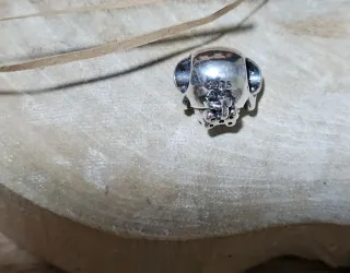 Charm Perro con Hueso