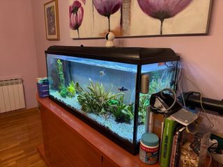 Pecera 200L con filtro externo