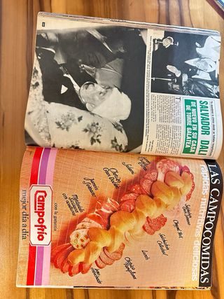 agonía y muerte de Francisco Franco