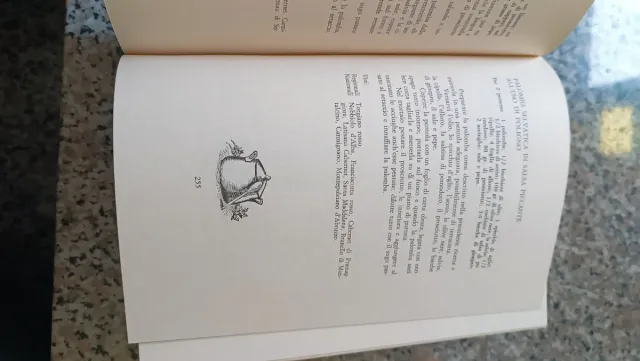 L Italia a tavola gallina editore