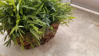 Centro de plantas artificiales