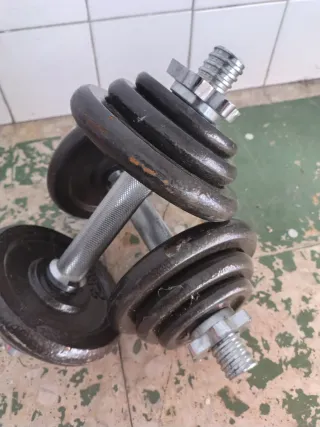 Pesas ajustables con discos