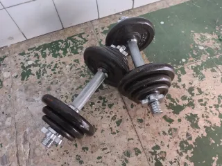 Pesas ajustables con discos