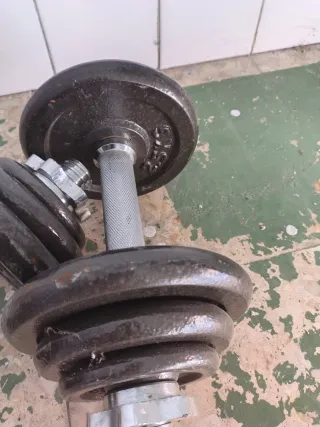 Pesas ajustables con discos