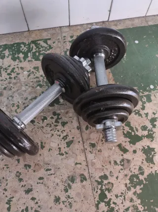 Pesas ajustables con discos