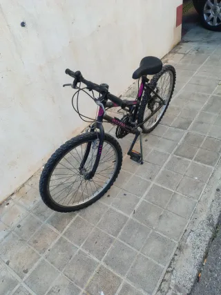 Bicicleta
